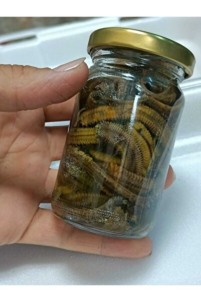 çapariav Hazır Balık Yemi – Deniz Solucanı Tipi – 35’li Kavanoz – Uzun Raf Öm...