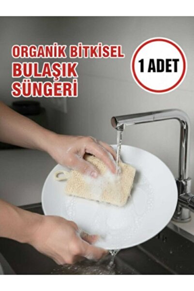 TrendMilano Natural Pumpkin Fiber Organic, Herbal, Dish Sponge, Economical 1 ...