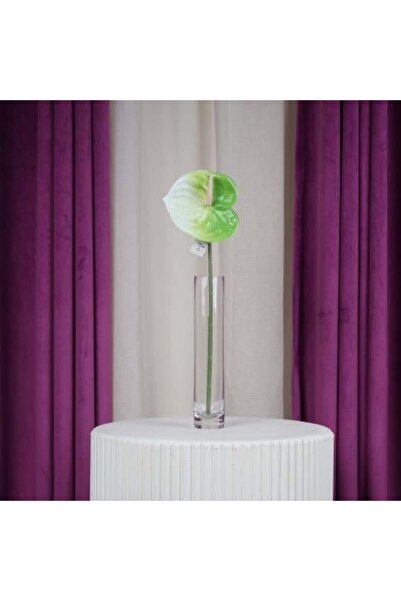 Gifts World زهرة أنثوريوم خضراء على بيضاء