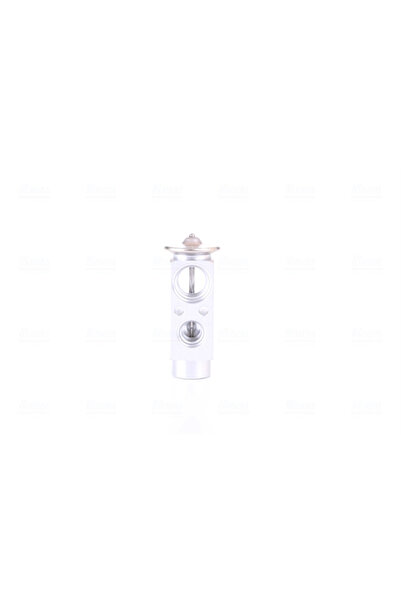 Nissens Supapa Expansiune Clima Mercedes-Benz Actros