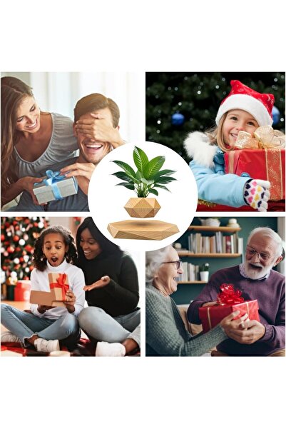 Generic Levitating Air Bonsai Pot - Levitating Plant Pot (Wooden)