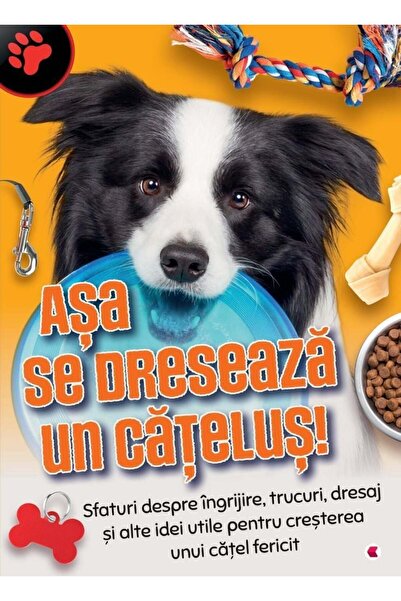 Editura Kreativ Asa se dreseaza un catelus!