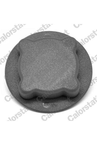 CALORSTAT by Vernet Buson Vas Expansiune Volvo 440/460/480