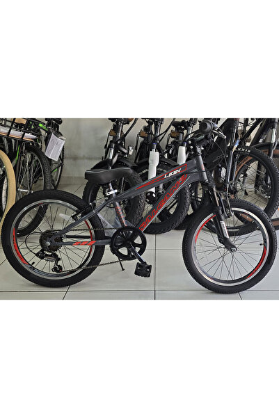 Salcano Lion 20 Jant Vitesli Erkek Çocuk Bisikleti (120-145 cm boy)