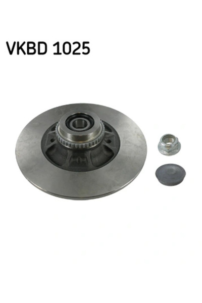 SKF Brake disc Renault Clio 2/Megane 1