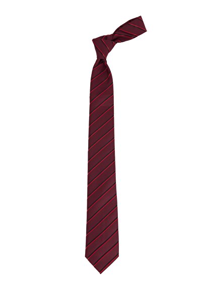Tudors Patterned Classic Men's Tie with Pocket Handkerchief