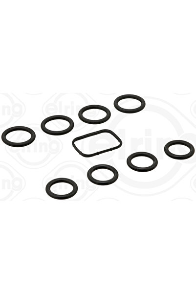 ELRING Set Garnituri Galerie Admisie Citroen Berlingo / Berlingo First Microb...