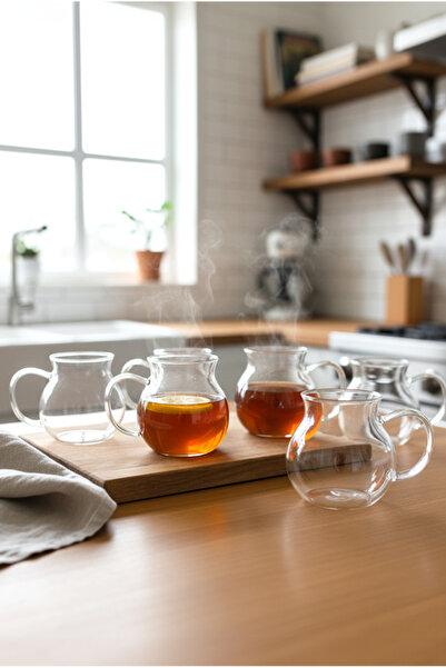 FH finehome Belina 6-Piece Glass Tea Cup Set with Handles