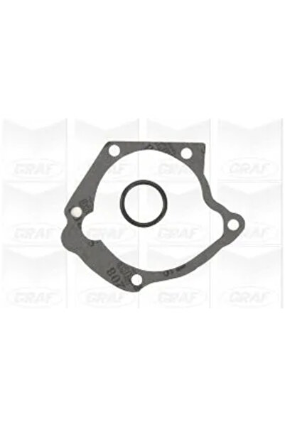 GRAF Engine cooling water pump HYUNDAI TRAJET 2000-2008 PA934