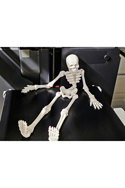 Fam Design anahtarlık ( İSKELET ANAHTARLIK )