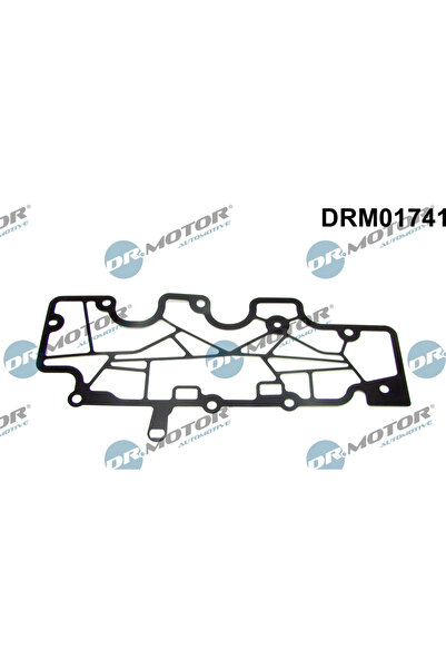 DR.MOTOR AUTOMOTIVE Garnitura Aerisire Bloc Motor Renault Clio 2/Clio 3/Duster