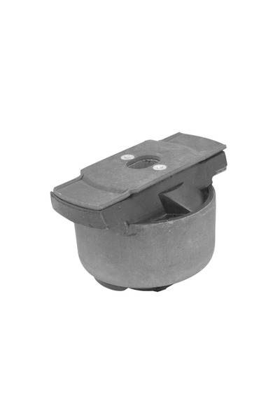 TEDGUM Suport Ax Axa Spate Stanga Renault Laguna 2