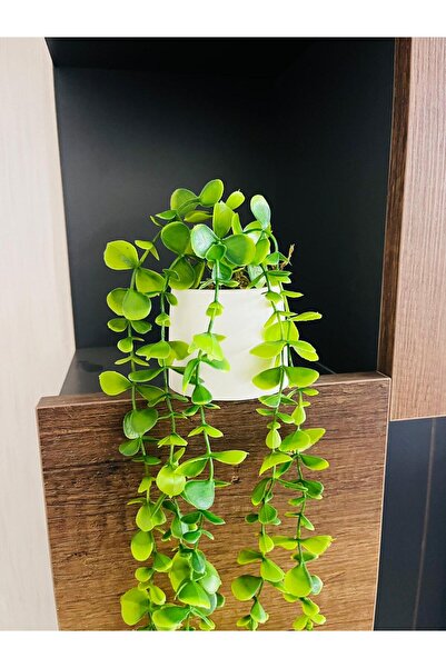 Trend KenT 2 ADET, El Yapımı Mini Beton Saksıda 80 Cm Yapay Sarkan Şimşir Anneler Günü Sevgililer Hediyesi