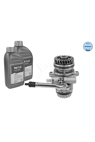 MEYLE Pompa Hidraulica Sistem De Directie Vw Multivan T5/Touareg/Transporter ...