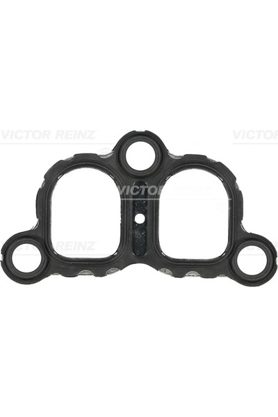 VICTOR REINZ Garnitura Galerie Admisie Pentru Cilindrul 3 Vw California T5 Ca...