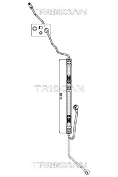 TRISCAN Furtun Hidraulic Sistem De Directie De La Pompa Hidraulica La Caseta ...