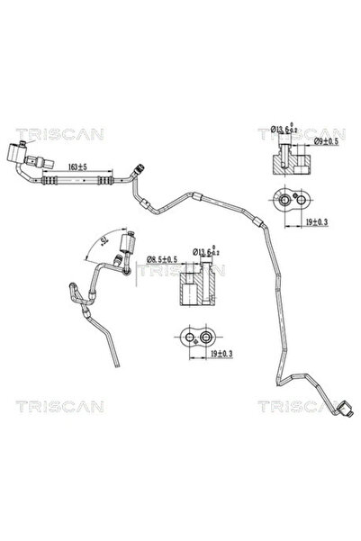 TRISCAN Conducta Presiune Variabila Aer Conditionat Audi A3 Seat Altea/Leon