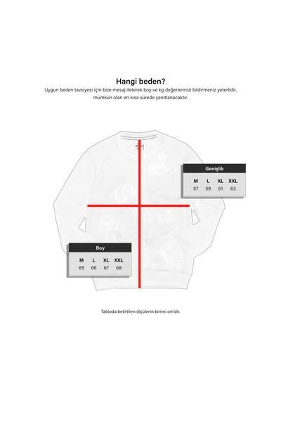 Cottonland Unisex Nolimits Three Thread Relaxed Fit O Neck Printed Cotton Sweatshirt Black