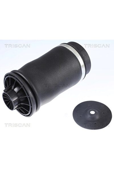 TRISCAN Direcție pneumatică cu arc Mercedes-Benz Clasa Gl/Clasa M