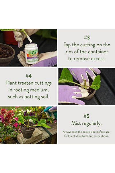 Generic Garden Safe TakeRoot Rooting Hormone for Plants, 2-Ounce (1 Pack) Made in USA