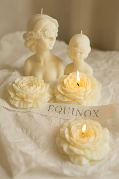 EQUINOX MUM Dekoratif Şakayık Çiçeği Lavanta Kokulu 2’Li Mum - Hediyelik