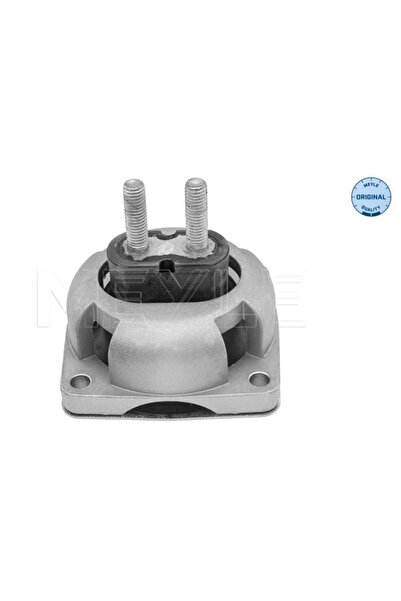 MEYLE Suport Motor Spate Mercedes-Benz Gl-Class/M-Class/R-Class