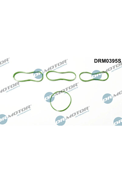 DR.MOTOR AUTOMOTIVE Set Garnituri Galerie Admisie Ford B-Max/C-Max 2/Fiesta 6