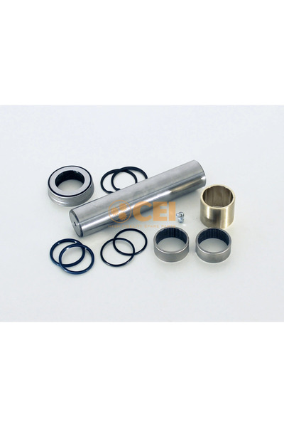 CEİ Set Reparatie Pivot Daf Lf 55