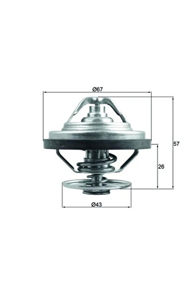 MAHLE Termostat Lichid Racire Man Tgs 1