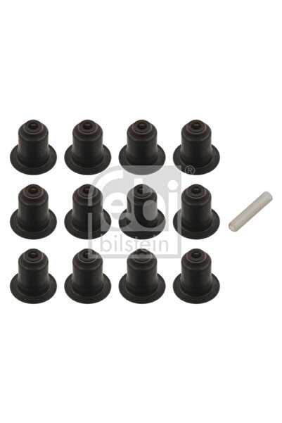 FEBI BILSTEIN Set Garnituri Ax Supape Partea De Admisie Bmw 3/5/6