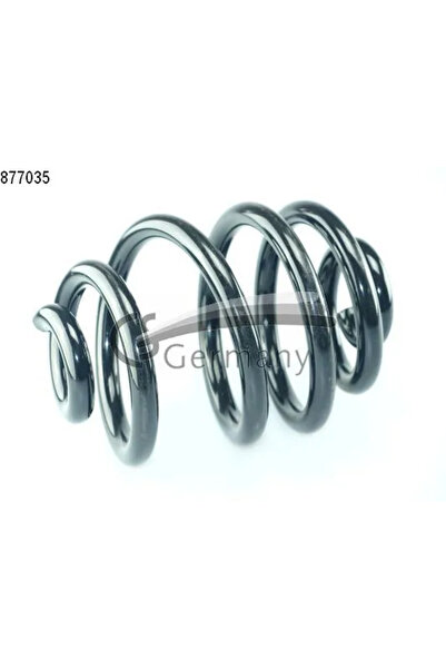 CS GERMANY Arc Spiral Puntea Spate Renault Kangoo