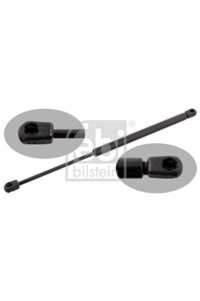 FEBI BILSTEIN Amortizor Capota Pe Ambele Parti Hyundai Coupe 1/Coupe 2