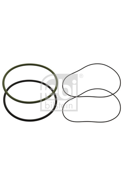 FEBI BILSTEIN Set Garnituri, Bucsa Cilindru Renault Trucks Kerax 1997-2006 Di...