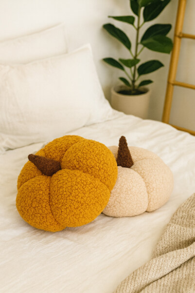 EYPRICH 100% Natural Teddy Decorative Pumpkin Cushion/Pillow