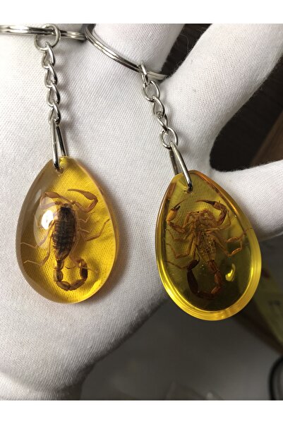 Unutma Beni Gerçek Akrep Fosilli Kehribar Anahtarlık