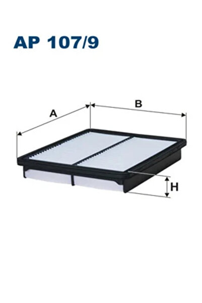 Filtron Filtru Aer Hyundai Grandeur/Santa Fe 2 Kia Sorento 2