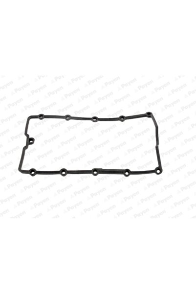 PAYEN Garnitura Capac Supape Audi A3 Mitsubishi Grandis/Outlander 2