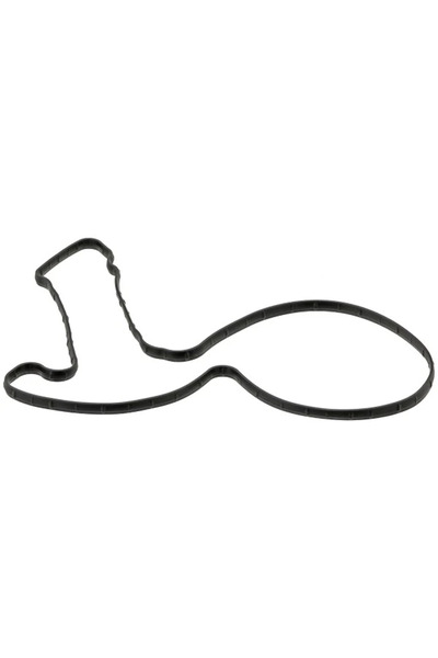 ELRING Garnitura Pompa De Apa Hyundai Entourage Mini Passenger Van/Equus / Ce...