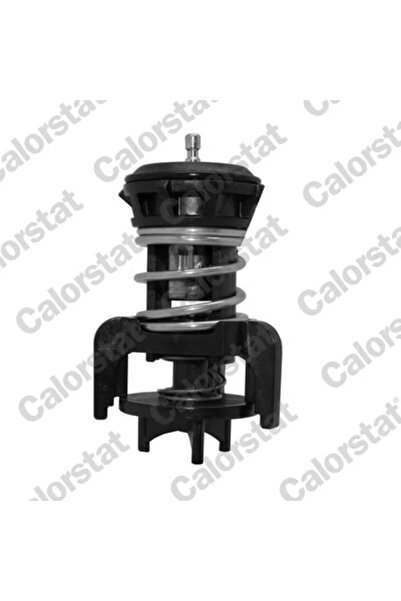 CALORSTAT by Vernet Termostat Lichid Racire Audi A3 Seat Alhambra/Leon