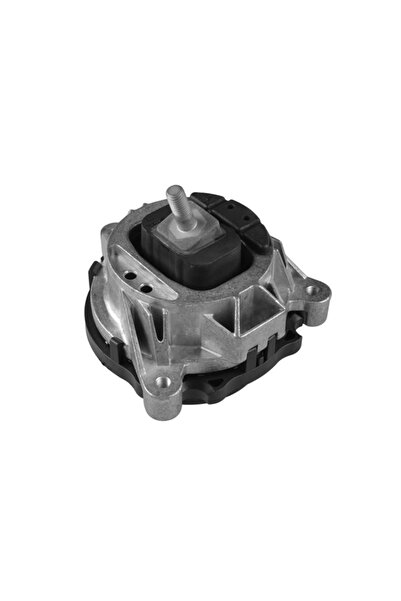 TEDGUM Suport Motor Stanga Bmw 5/6/7