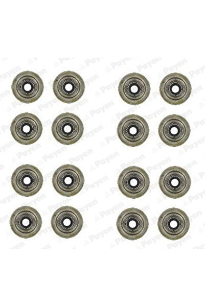 PAYEN Set Garnituri Ax Supape Caterham 21/Seven Land Rover Freelander 1