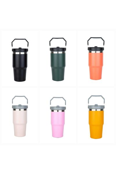 Globox Steel Thermos with Straw and Handle Wide Top 650 ml (Pink)