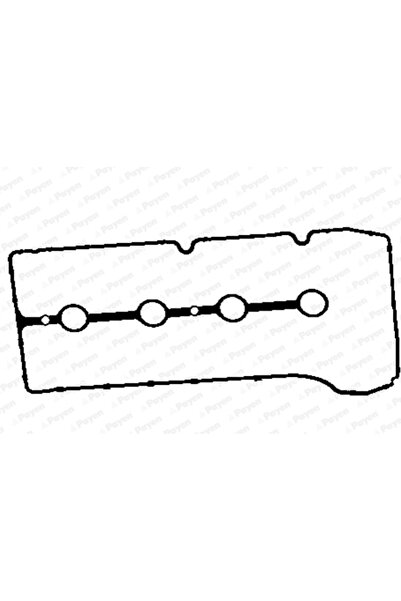 PAYEN Garnitura Capac Supape Mazda 2/3