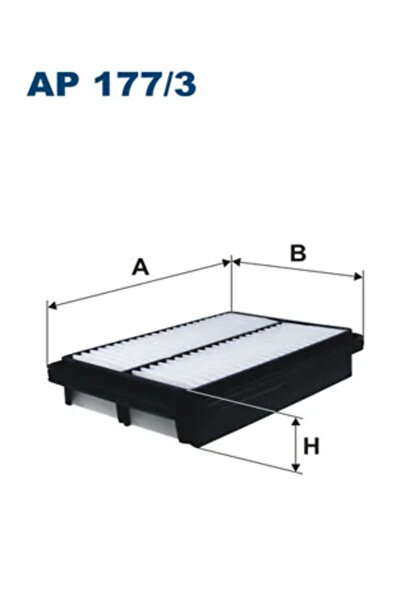 Filtron Filtru Aer Hyundai Santa Fe 1 Tagaz C190