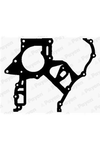 PAYEN Garnitura Distributie Opel Astra G/Frontera B/Omega B Saab 9-3