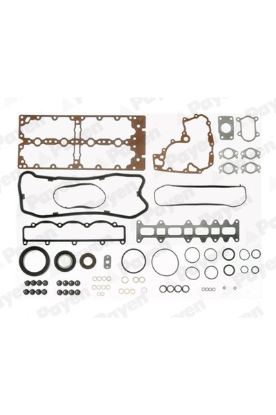 PAYEN Set Garnituri Complet Motor Fiat Ducato Bus/Ducato Caroserie/Ducato Pla...