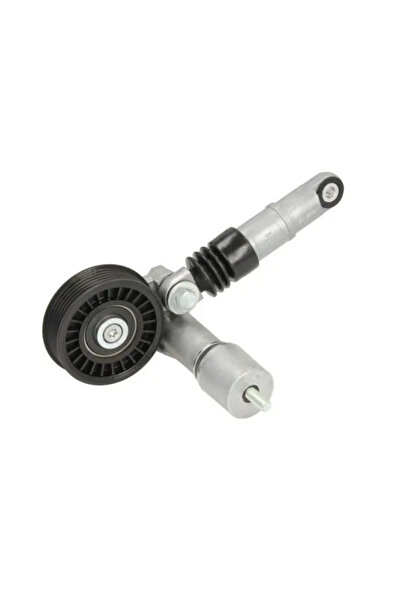 BTA Intinzator Curea Curea Distributie Audi A4 B5/A4 B6/A6 C5 Skoda Superb 1