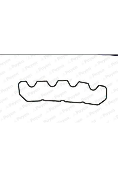 PAYEN Garnitura Capac Supape Land Rover Defender/Discovery 1/Range Rover 1