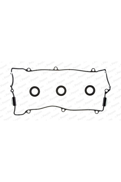 PAYEN Set Garnituri Capac Supape Fuqi Wunderful Rich Hyundai Coupe 2/Grandeur...