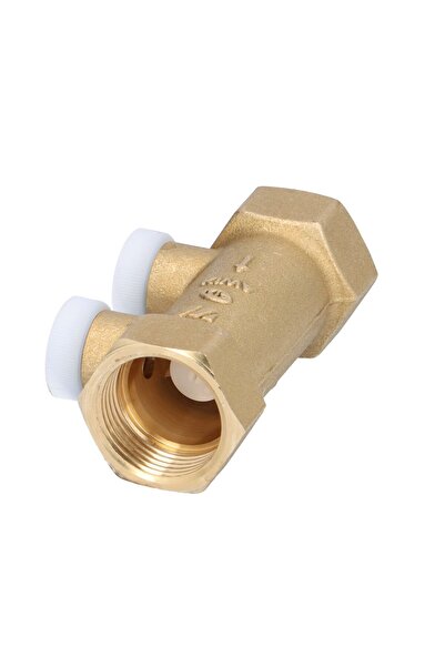 Other Internal threaded anti-contamination check valve type EA291NF 34 inch
